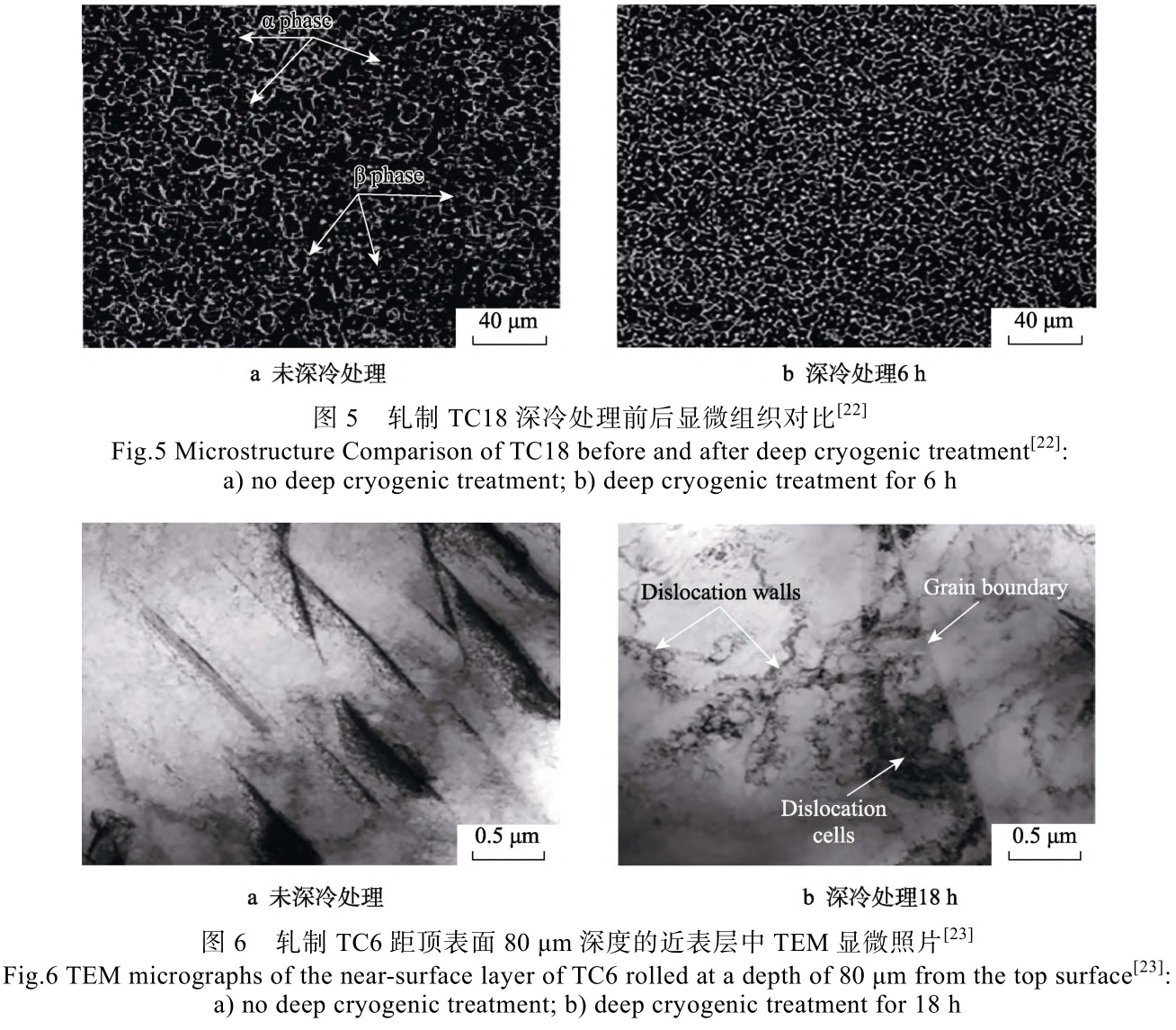 航空航天基礎醫(yī)學用鈦合金深冷處理工藝研究綜述